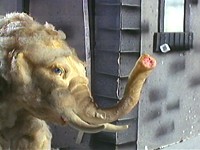Denali - Gumby's Mastodon pal