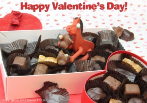 Pokey eating Valentine's Day chocolates